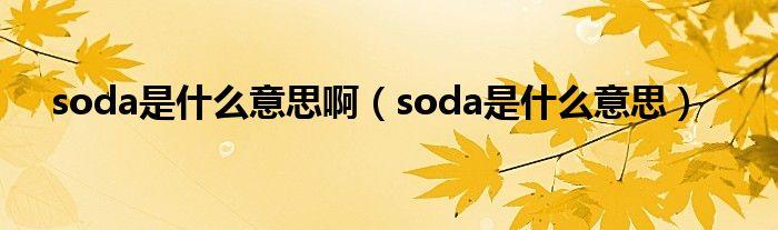 soda是什么意思-yummisoda是什么意思