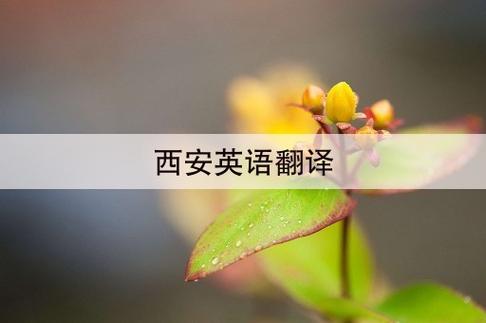 西安英語(yǔ)翻譯-去年我去了西安英語(yǔ)翻譯