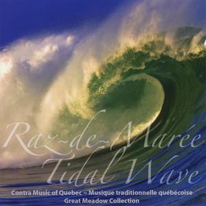 tidal wave-tidal wave翻譯