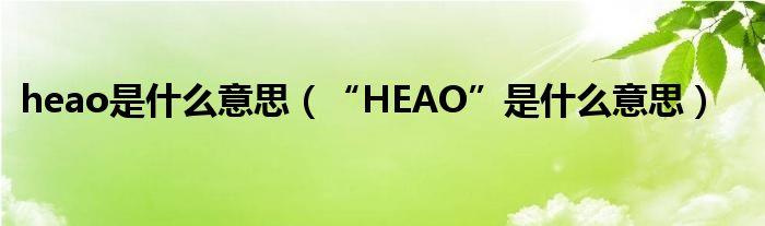 heao-heao什么意思