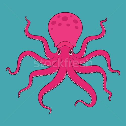 octopus-octopusl