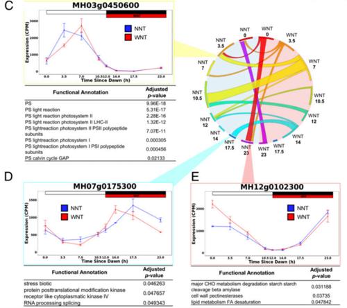 pnas-pnas影響因子