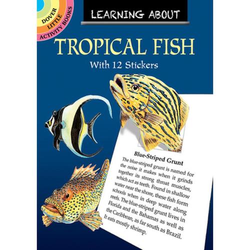 tropical-tropical fish