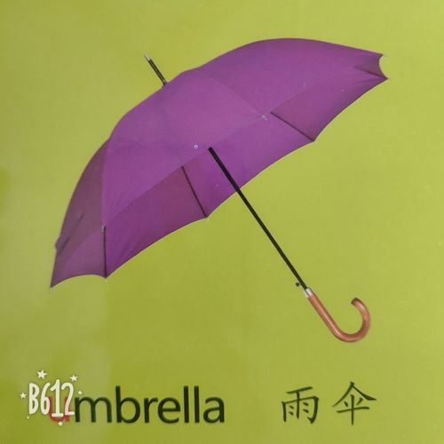 雨傘的英文-雨傘的英文怎么讀