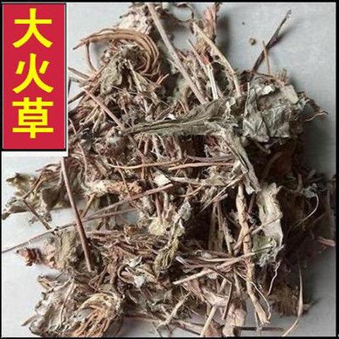 打火草-打火草的功效與作用圖片