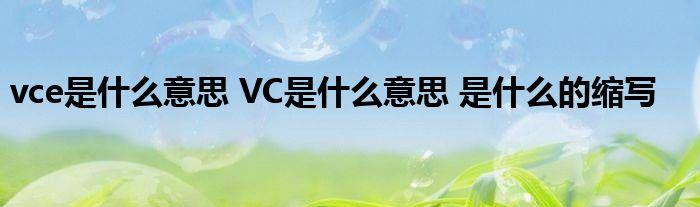 vce-vce是什么意思