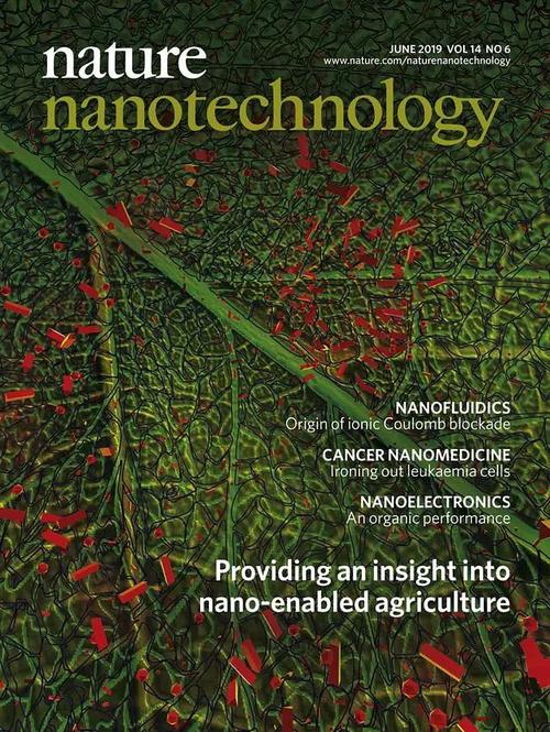 nature是什么意思-nature是什么意思中文