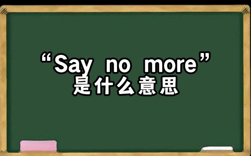 say-say是什么意思