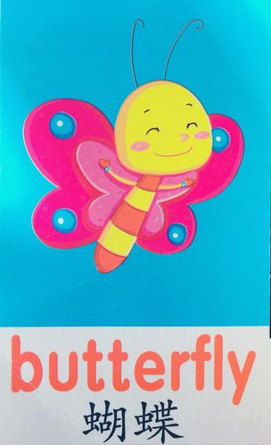 butt-butterfly 中文翻譯