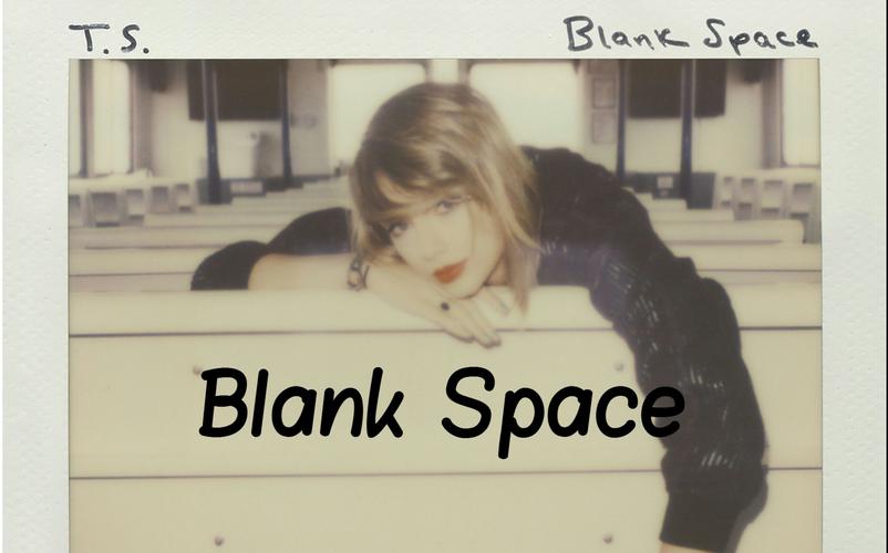 blank space-blank space是什么意思