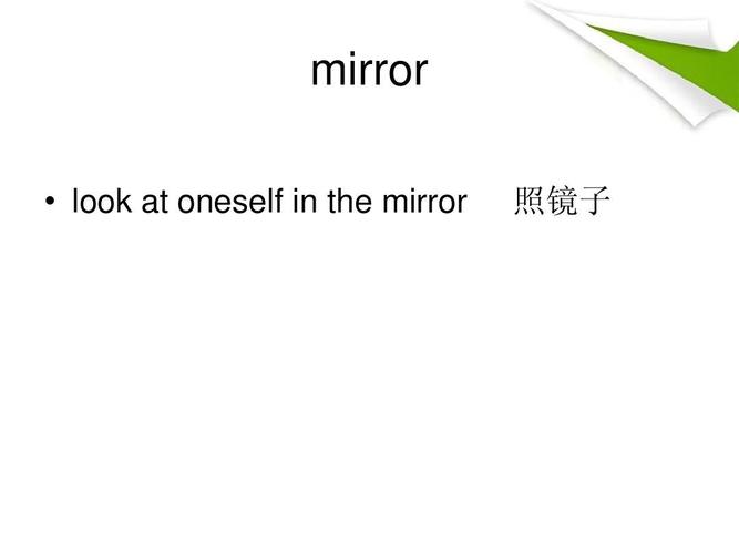 mirror是什么意思-mirror是什么意思英語