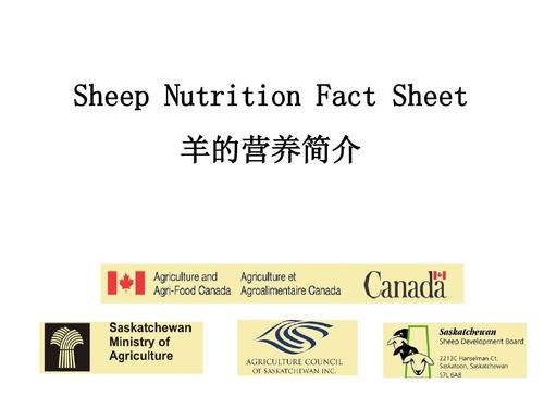 sheet是什么意思-sheep是什么意思