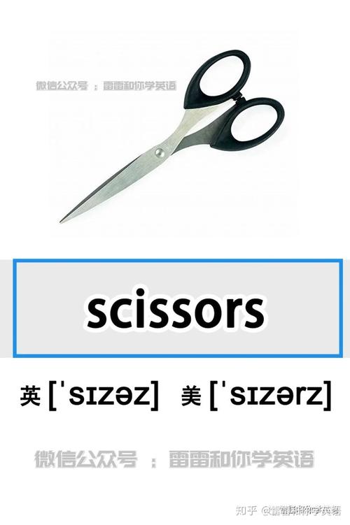 scissors怎么讀-scissors怎么讀英語