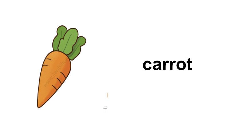 carrot怎么讀-carrot怎么讀英語