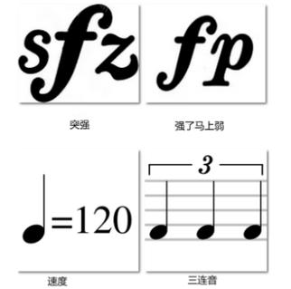 fff-ffff音樂術(shù)語(yǔ)