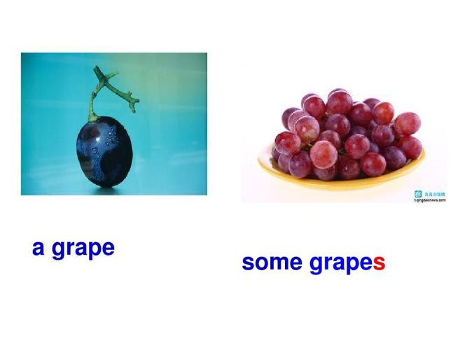 grape-grape的復(fù)數(shù)