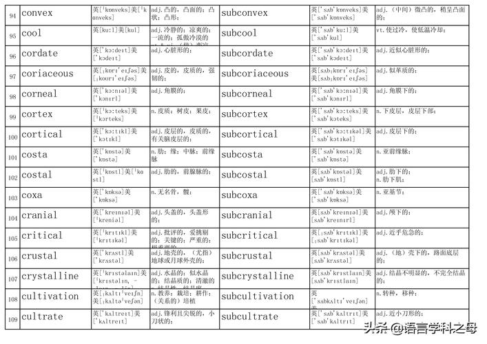 subbranch-subbranch和branch 的區(qū)別是什么?