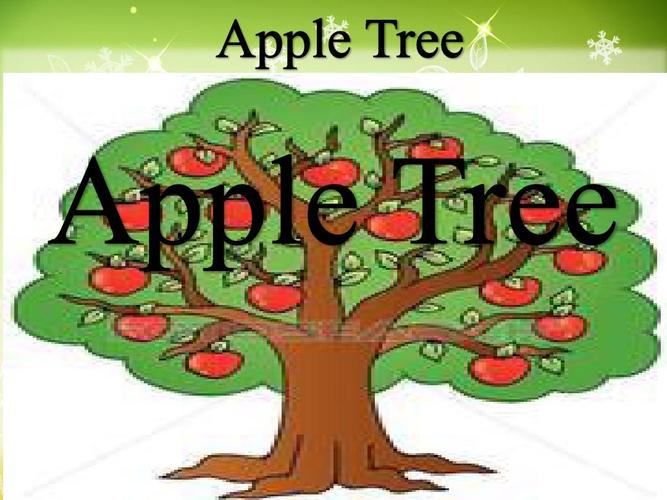 appletree-appletree英文歌