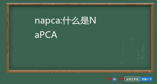 napca-napca是什么東西