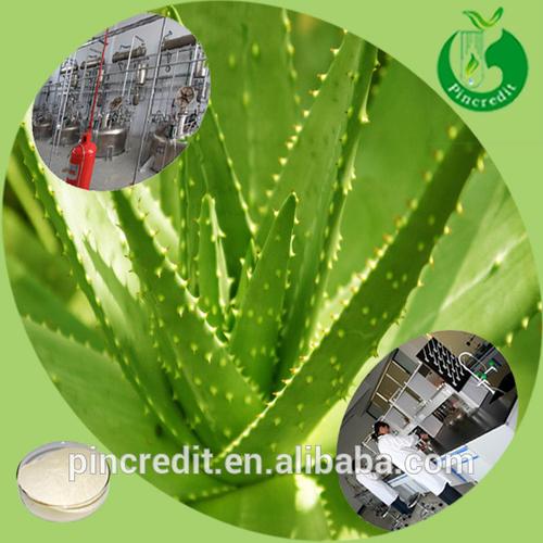 aloe extract-