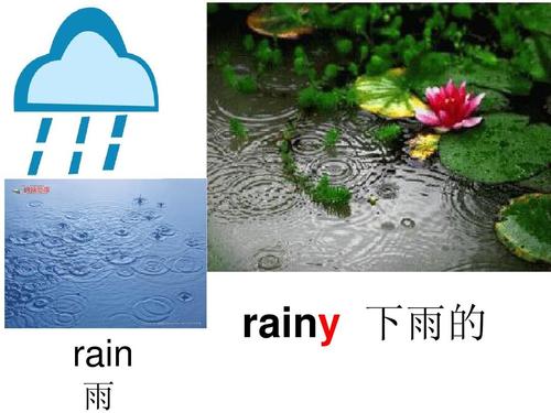 rain是什么意思-rainy是什么意思