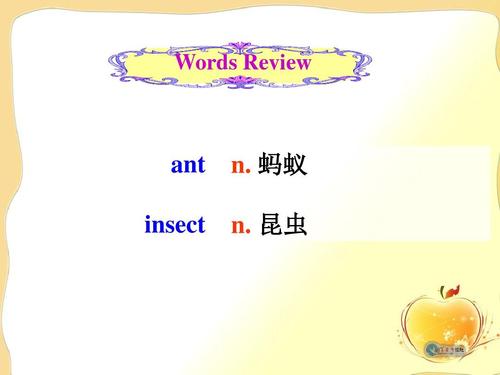 insect-insect怎么讀