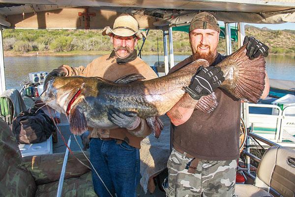 flathead-Flathead fish