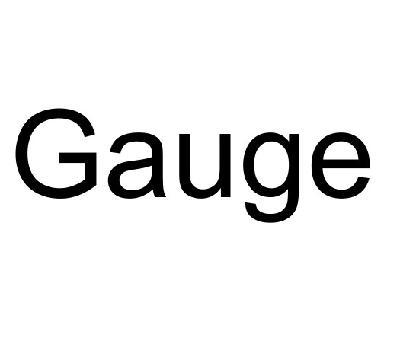 gauge是什么意思-gauge是什么意思中文翻譯