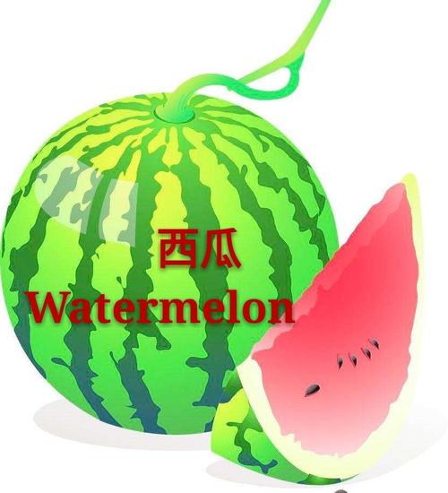 西瓜英語怎么讀-西瓜英語怎么讀watermelon