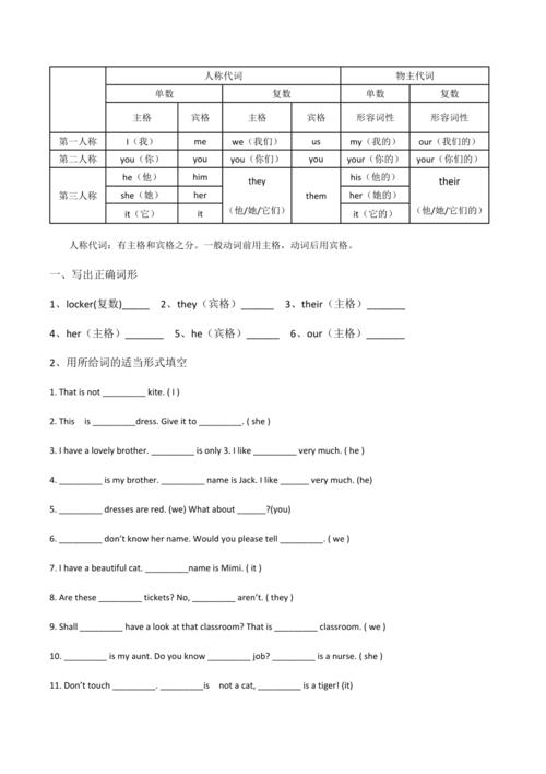 人稱代詞練習(xí)題-人稱代詞專項(xiàng)訓(xùn)練及答案