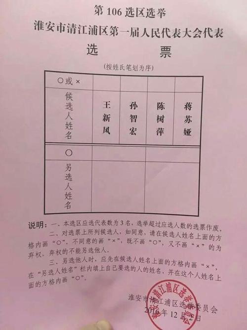 選舉人票是什么意思-選舉人票是什么意思?