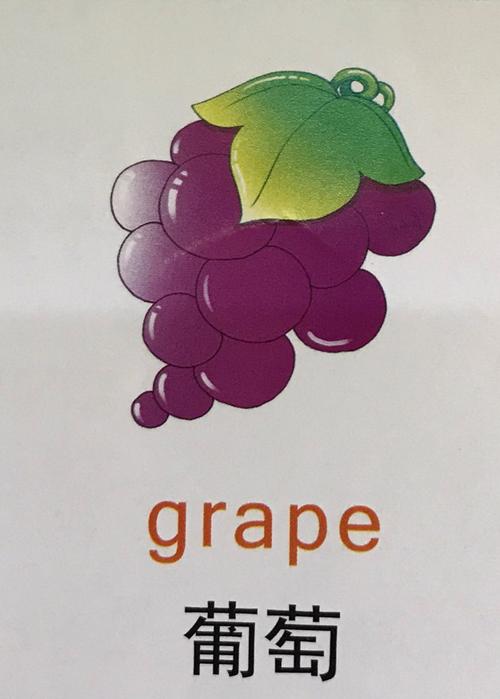 葡萄英語(yǔ)怎么讀-葡萄英語(yǔ)怎么讀grapes