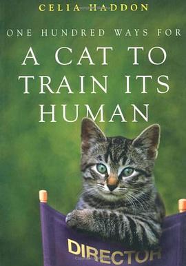 human to cat-