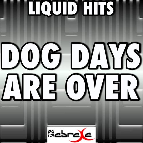 dog days are over-dog days are over是什么意思啊