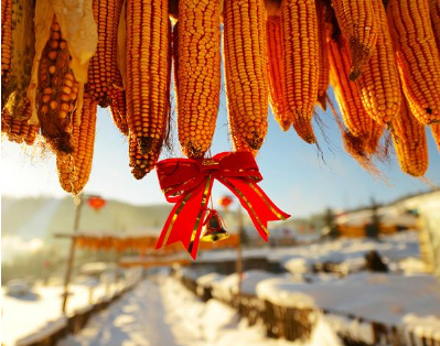 瑞雪兆豐年英語(yǔ)-瑞雪兆豐年英語(yǔ)翻譯