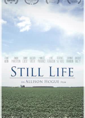 still life是什么意思-