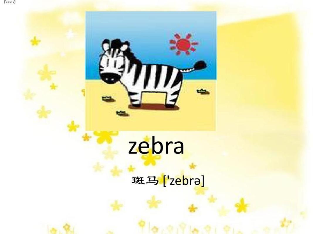 zebra的音標(biāo)-zebra的音標(biāo)是什么