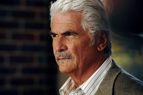 james brolin-